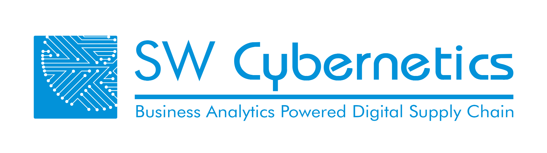 SW Cybernetics